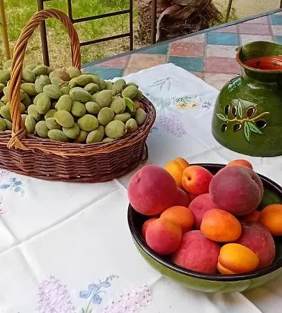 Hélios Canet-en-Roussillon